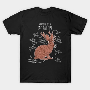 Jackalope Anatomy T-Shirt